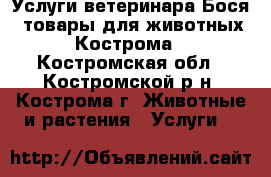 Услуги ветеринара Бося, товары для животных Кострома - Костромская обл., Костромской р-н, Кострома г. Животные и растения » Услуги   